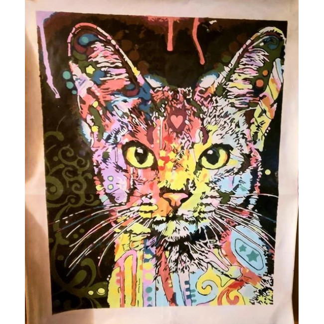 Kit pictura pe numere cu animale, Colorful Cat DTP29-S5F4