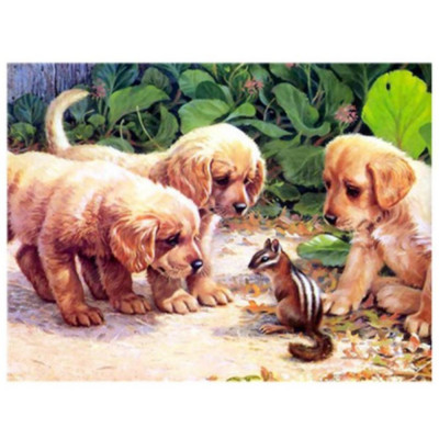 Kit pictura pe numere cu animale, DTP7647-19