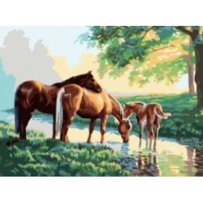 Kit pictura pe numere cu animale, DTP3303-49