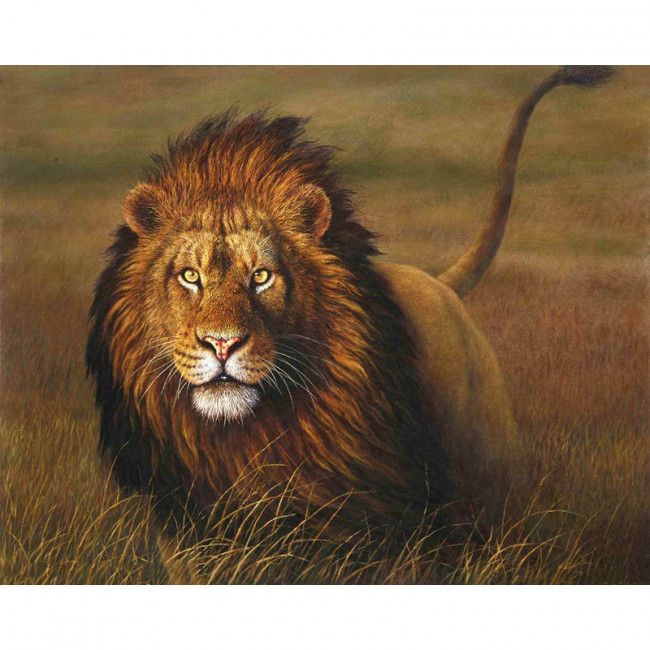 Kit pictura pe numere cu animale, Lion King