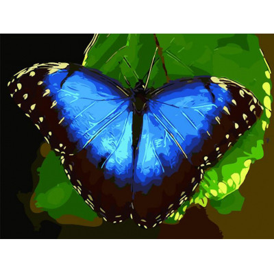 Kit pictura pe numere cu fluturi, Blue Butterfly, DTP1017