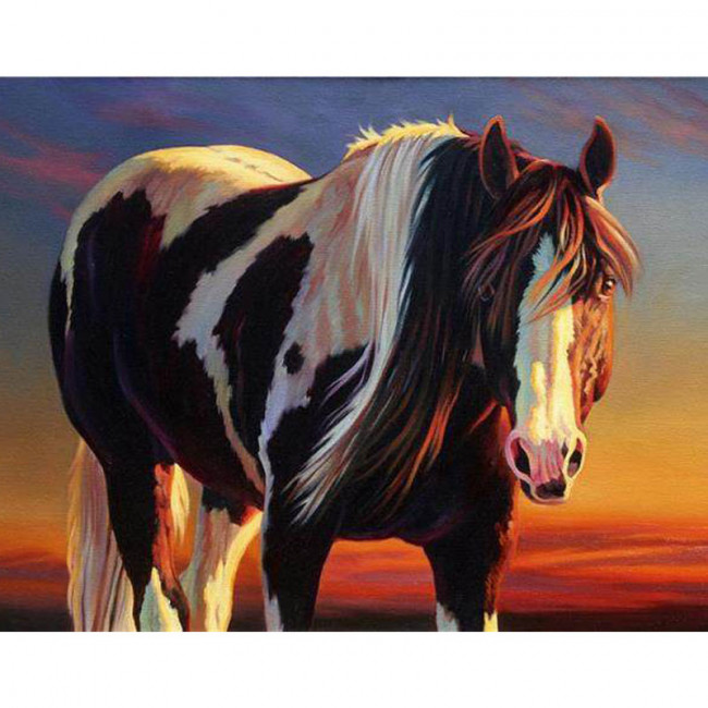 Kit pictura pe numere cu animale, Wild horse DTP1609-120