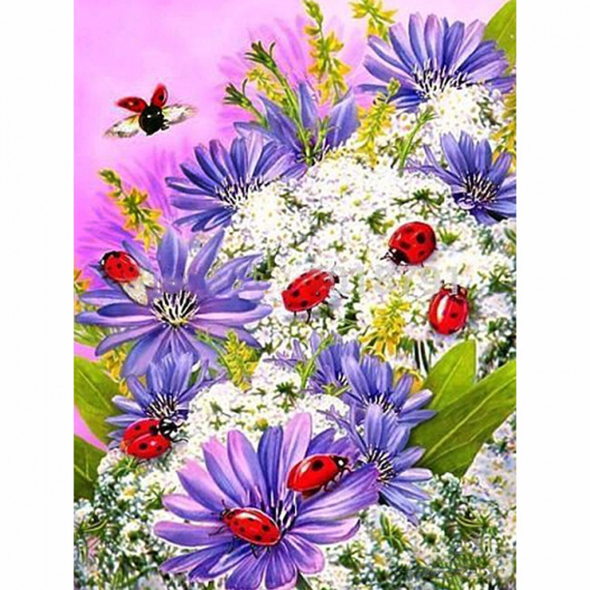 Kit pictura pe numere cu flori, Ladybugs DTP1676-S5C2/S6E1