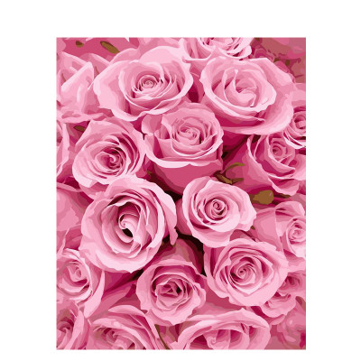 Kit pictura pe numere cu flori, Pink Roses DTP334